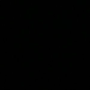 Meet your Posher, Isabel